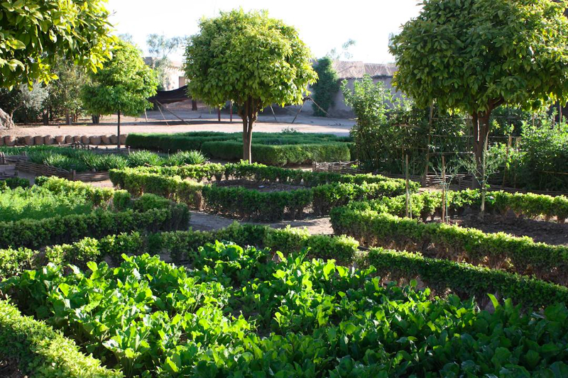 small-2-the-vegetable-garden